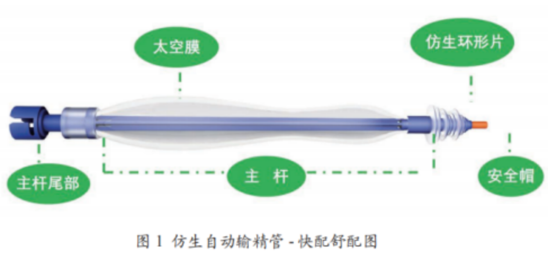快配舒仿生输精技术：效率与繁殖性能提升的机制解析