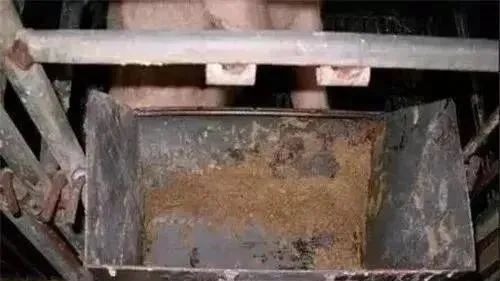 饲料经常吃不干净