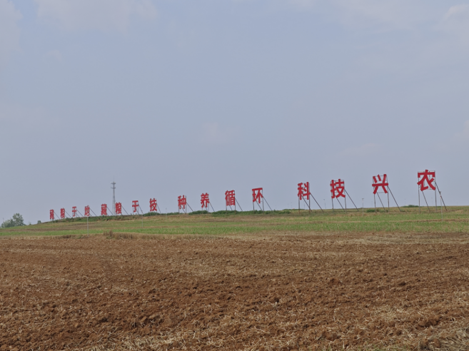 盐碱地变良田，牧原种养循环绘就绿色发展新图景
