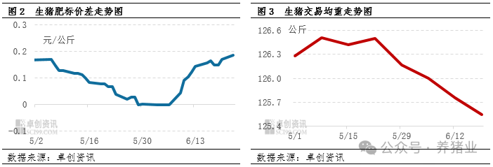 猪价持续反弹！7月行情能继续涨吗？
