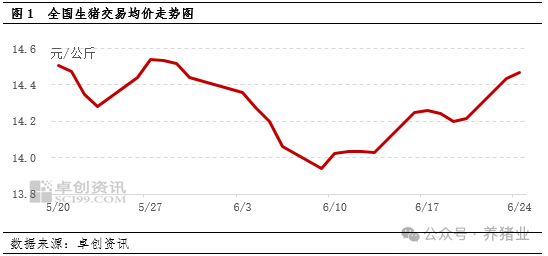 猪价持续反弹！7月行情能继续涨吗？