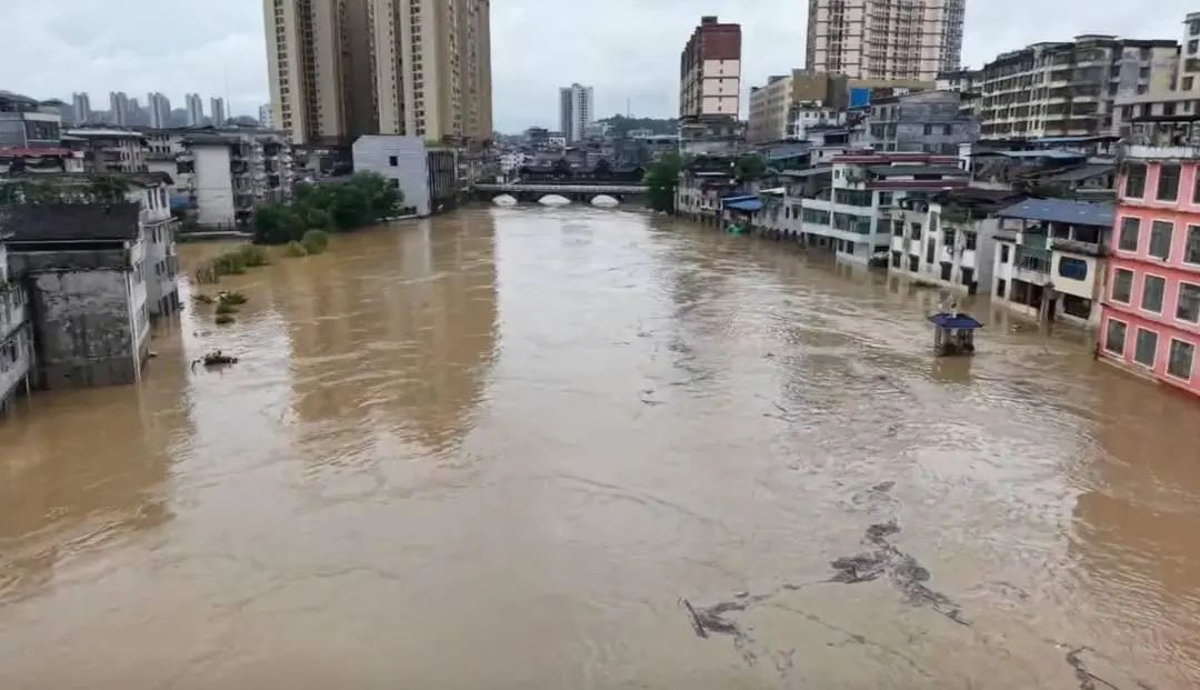 南方暴雨“发威”，多地猪场“告急”，养殖户需警惕！