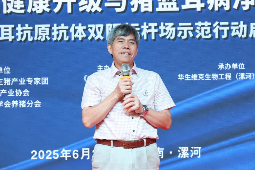 许典新