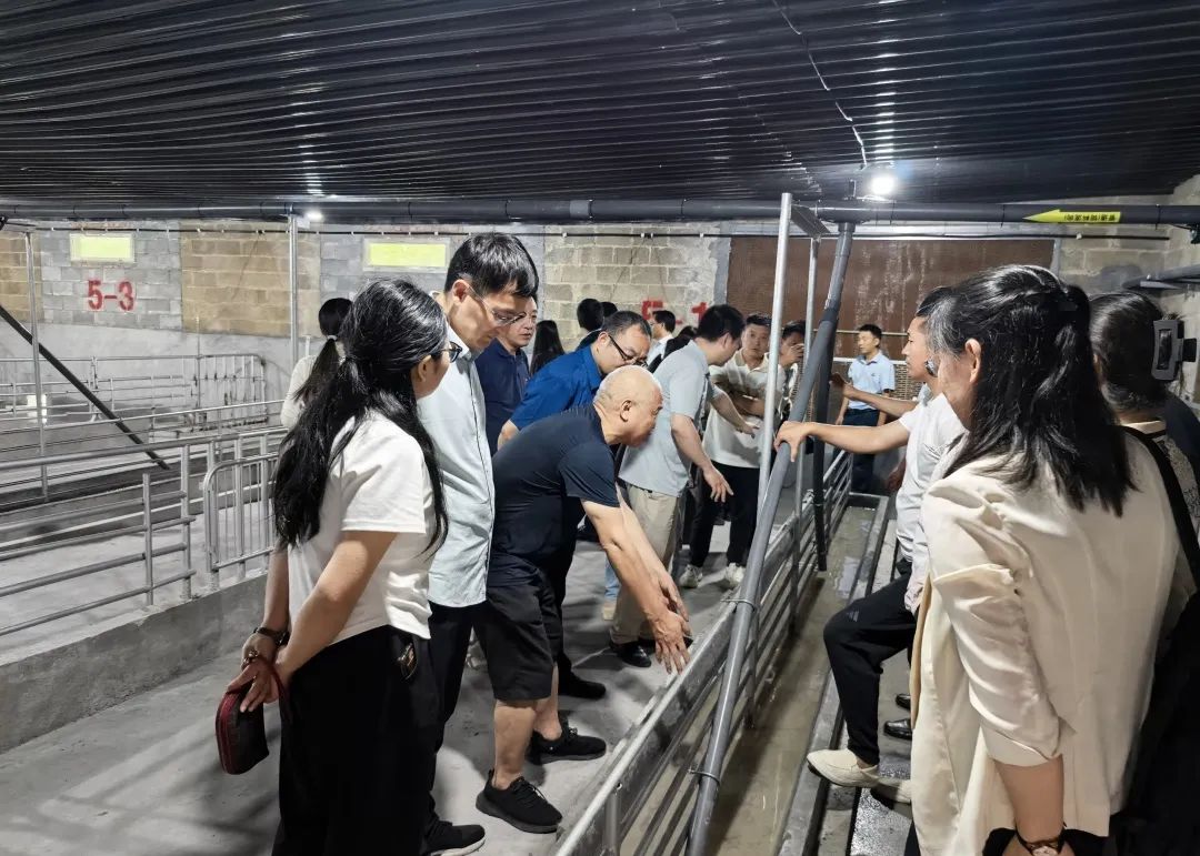重庆市武隆区琪丽玉农业开发有限公司