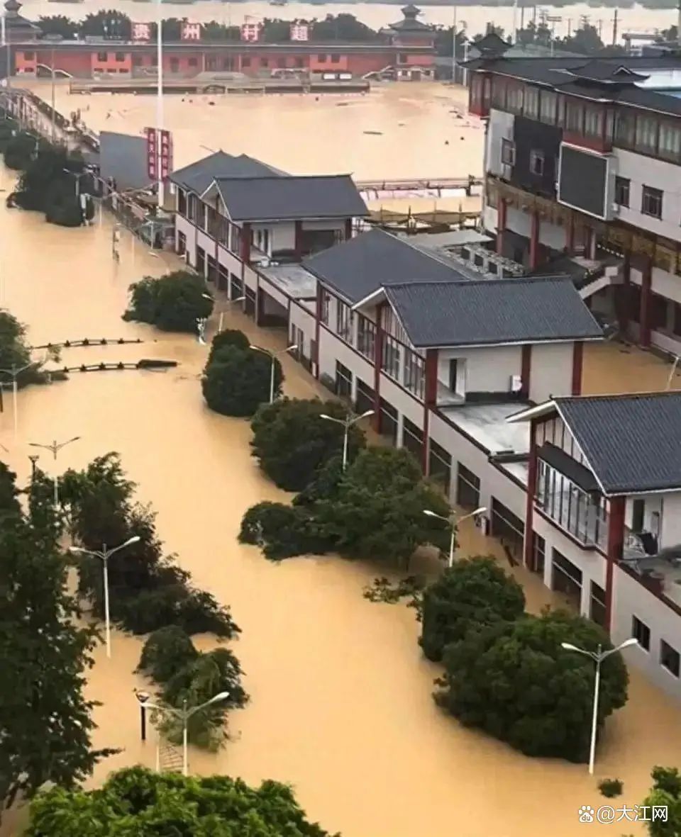 心痛！养户百余头猪被洪水冲走、栏舍损毁，损失上百万