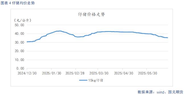 仔猪行情