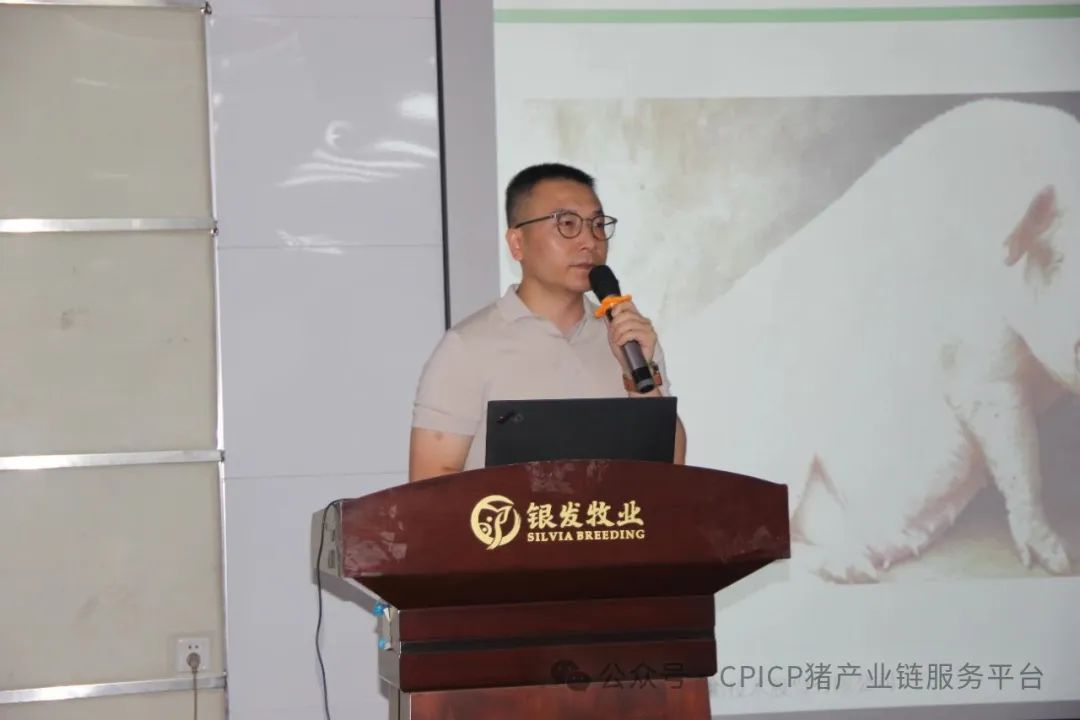 李江