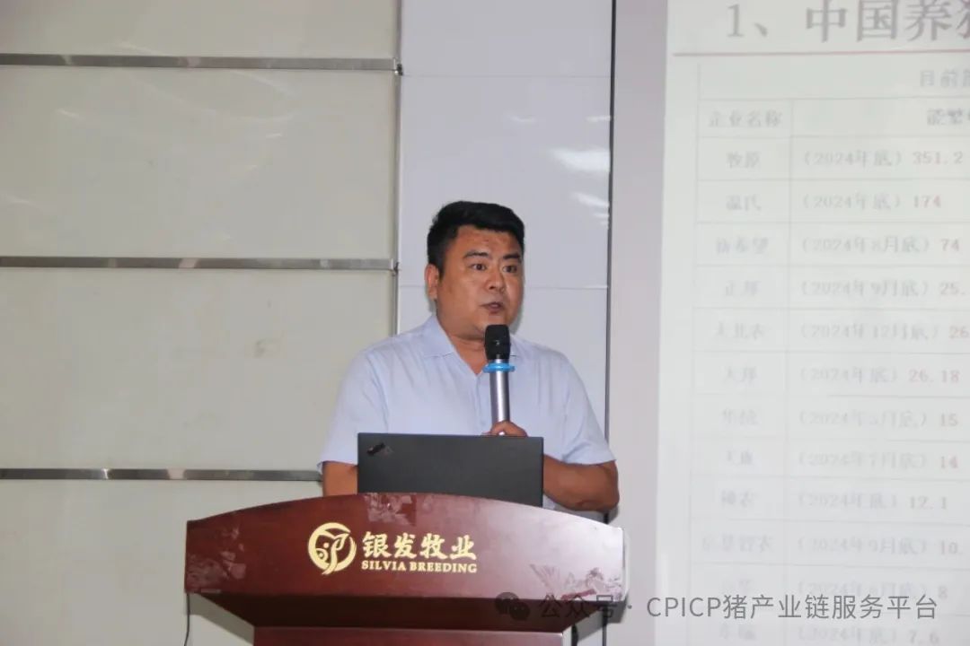 师鹏飞