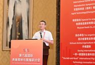 规模猪场如何突破母猪淘汰率高、激素应用混乱、配种人效低的困境？