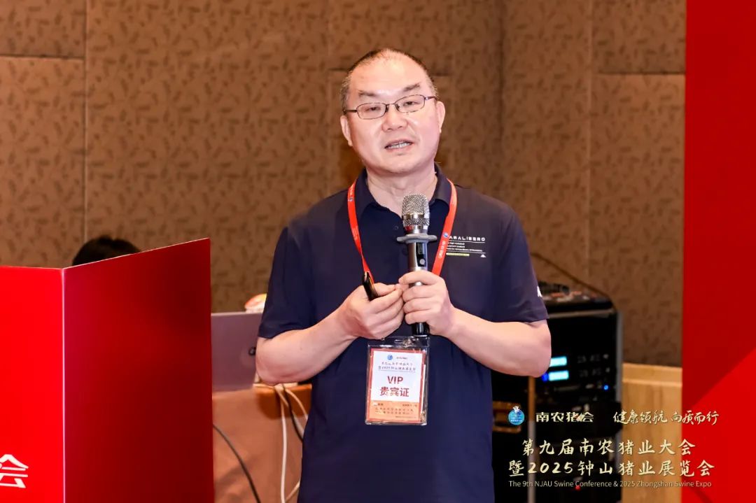 刘小红