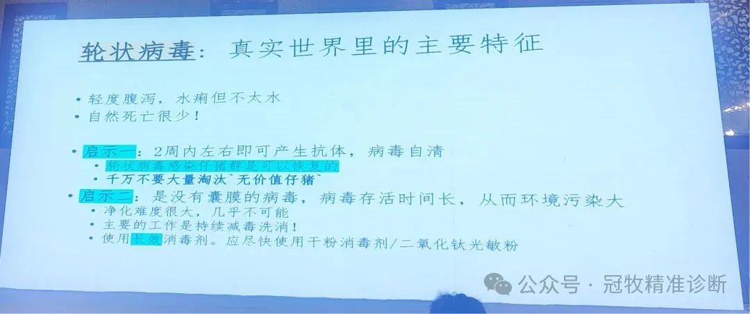 轮状病毒