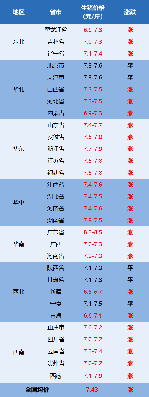 生猪行情