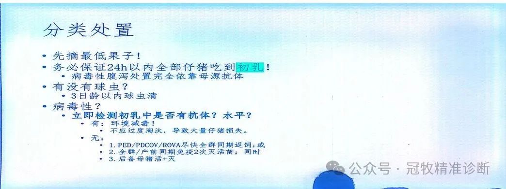 分类处置