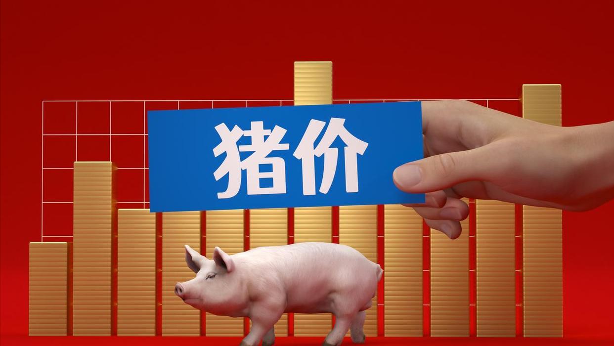 生猪市场延续上涨，后市有望“破8”？