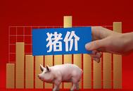 生猪市场延续上涨，后市有望“破8”？