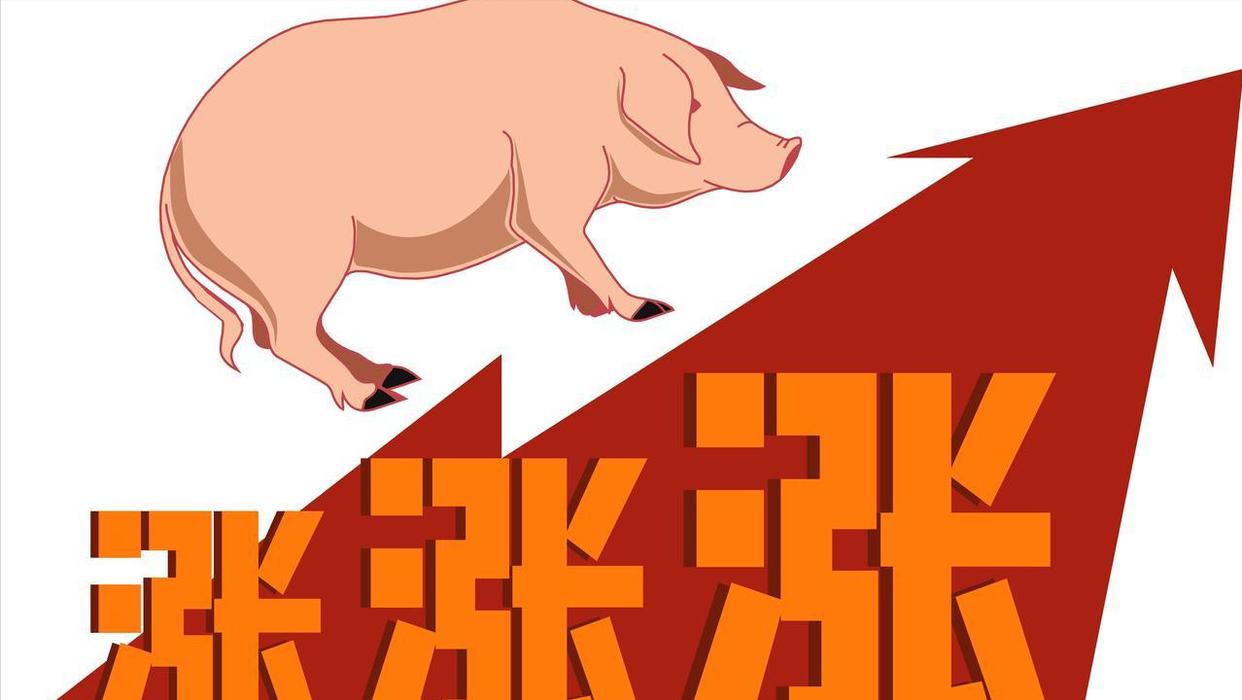 市场看涨情绪高涨，7月猪价或将延续上涨的局面？