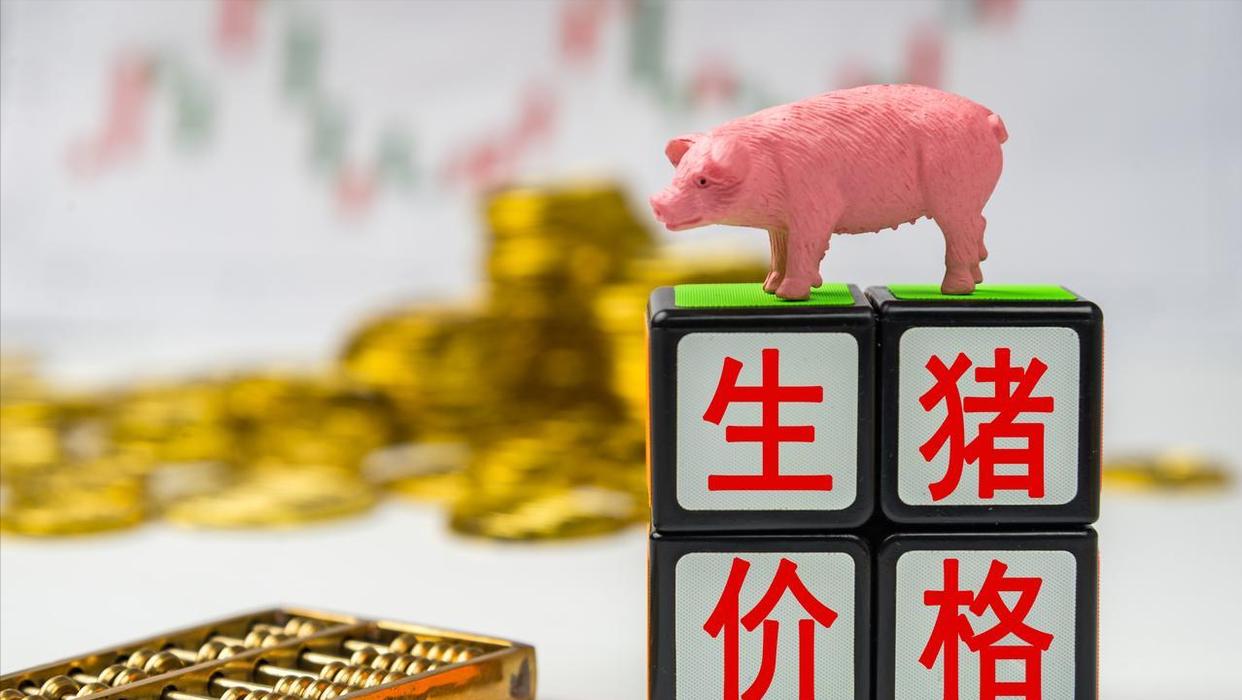 生猪行情