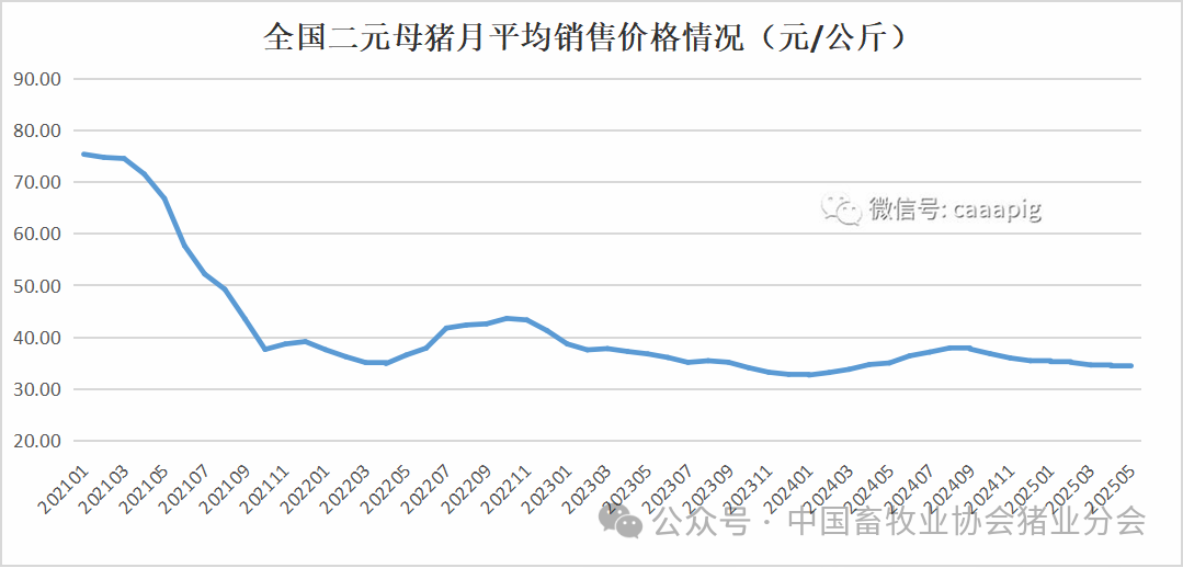 母猪销售价格