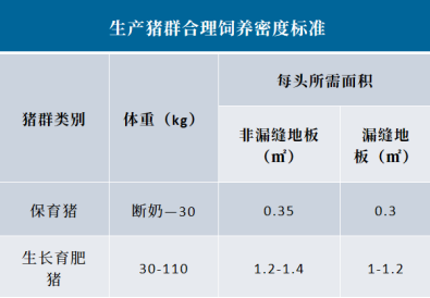 高温季节育肥猪的饲养管理策略