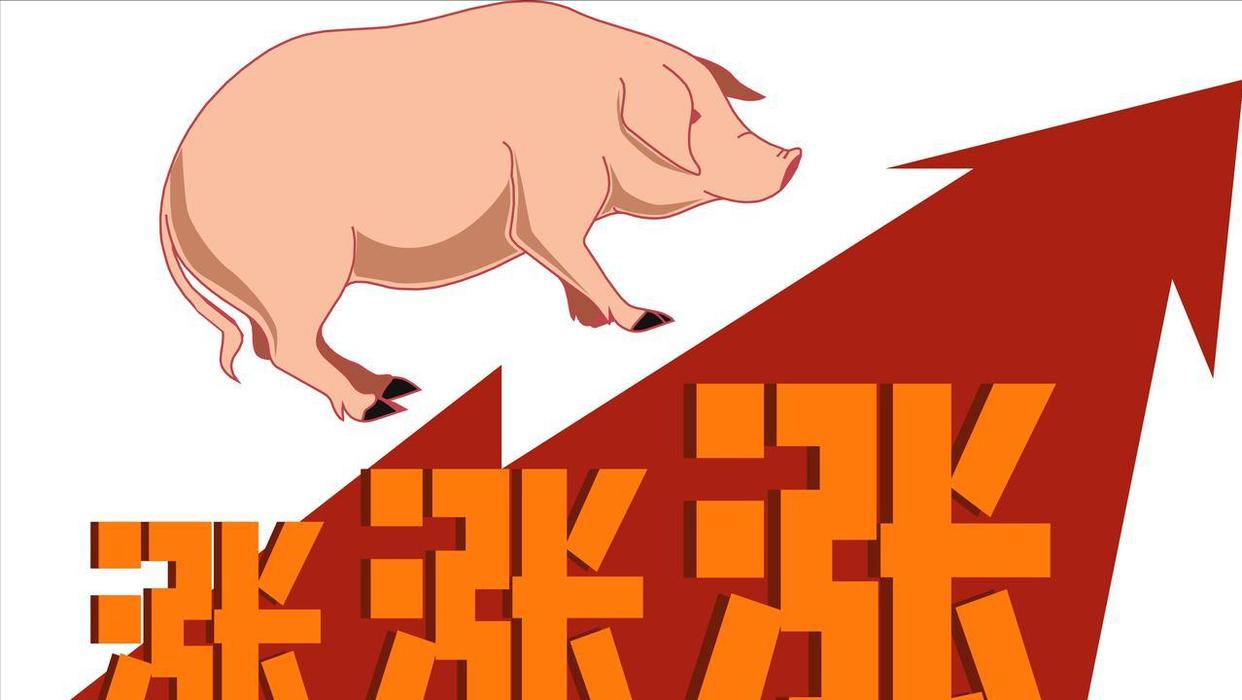 6月后涨跌博弈，7月猪价何去何从？