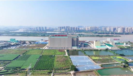 扬翔智能猪场：科技赋能，开启猪肉品质新“食”代