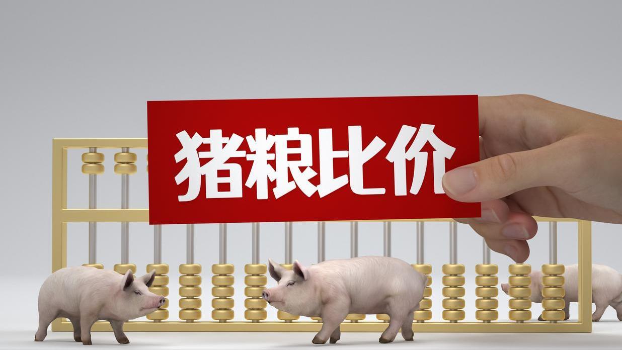 猪粮比