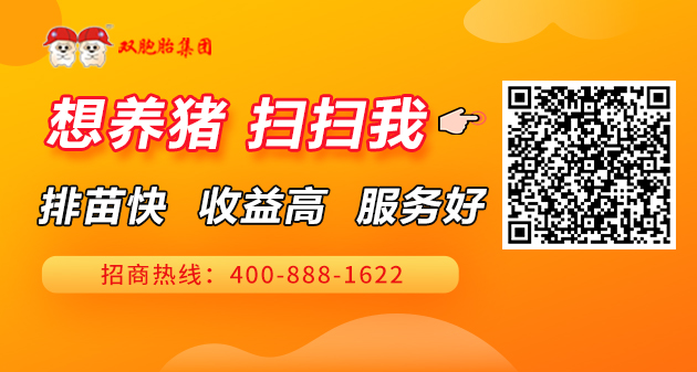 双胞胎