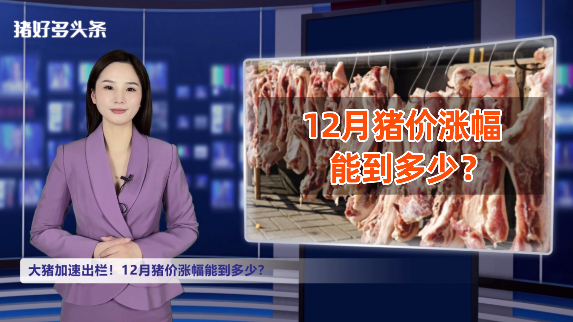 肥猪供应增多！腌腊陆续启动！12月猪价涨幅能到多少？