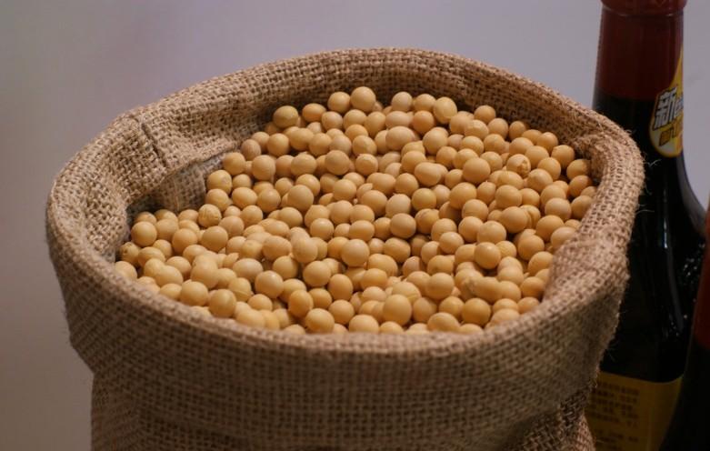 ​巴西豆粕出口持续反季节增长，传言阿根廷向巴西订购大豆？