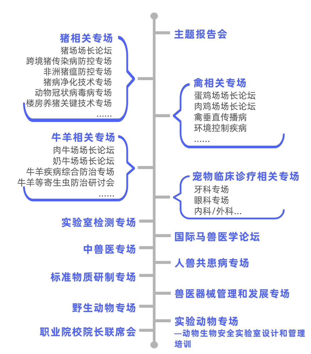 大会专场