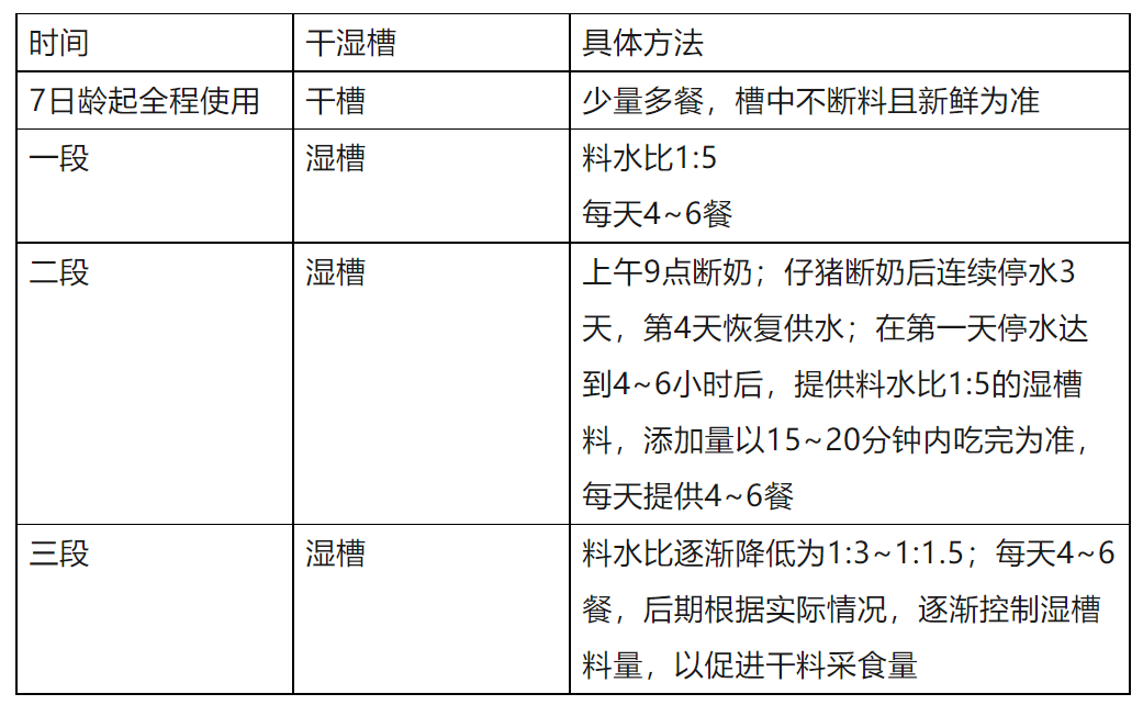 断奶仔猪教槽料饲喂方法