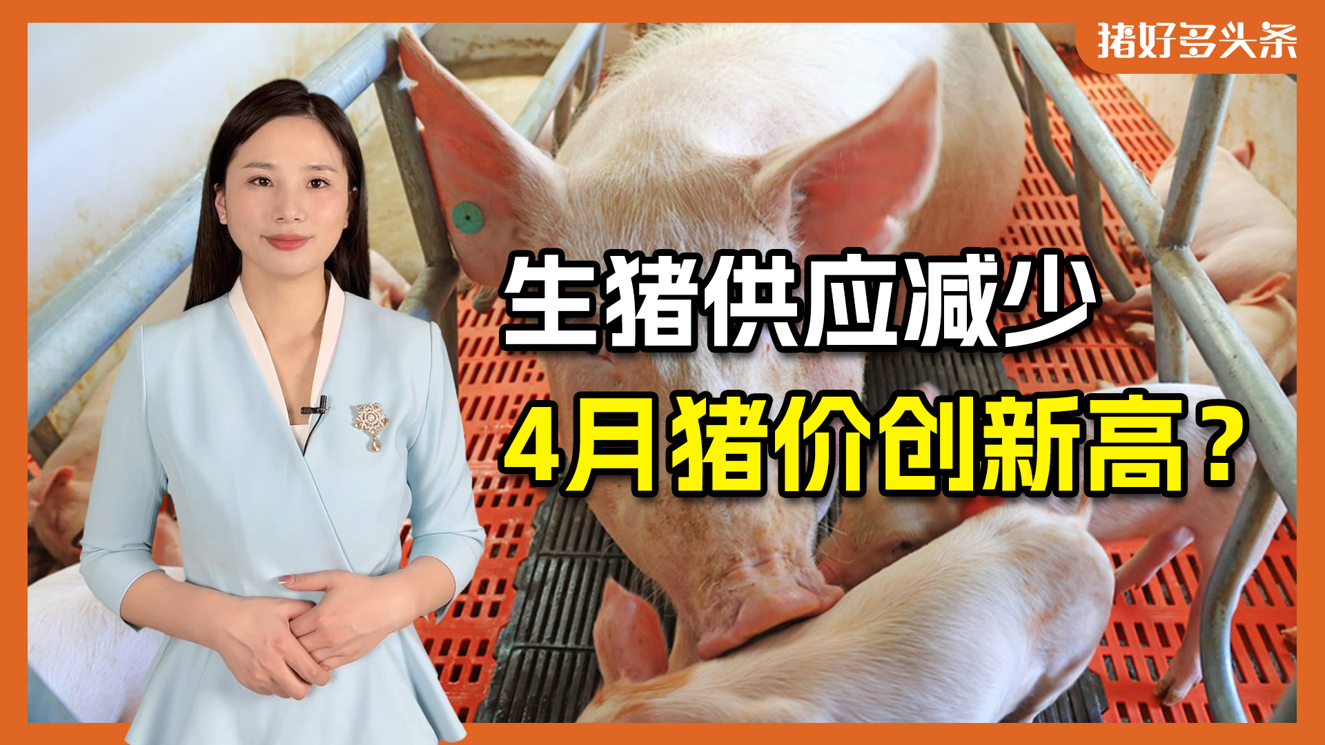国家发改委最新公布，每头猪将盈利109元！4月生猪供应减少？