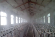 雾滴越细越好？猪场喷雾消毒的常见误区有哪些？