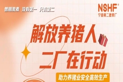 解放养猪人，二厂在行动！用同孕宝片就送贝尔奇新品体验活动火热进行中
