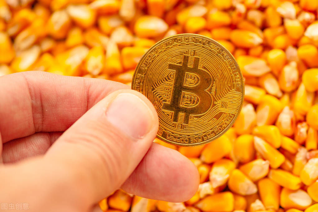玉米供应端表现分化，预计华北玉米价格跌幅或大于东北
