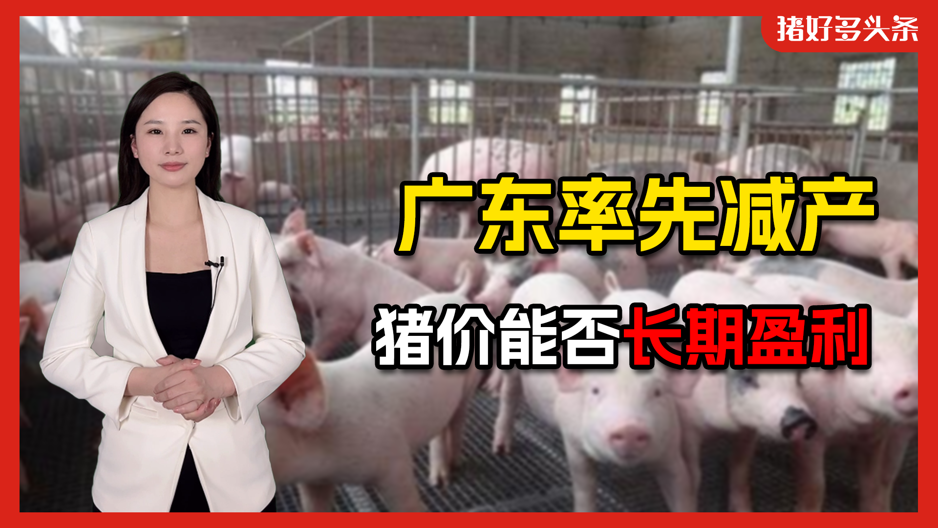重磅！广东率先将母猪保有量下调至190万头！其他省份何时跟进？