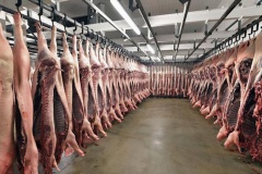 预计屠企停宰、减产或继续增加，对猪价支撑有限