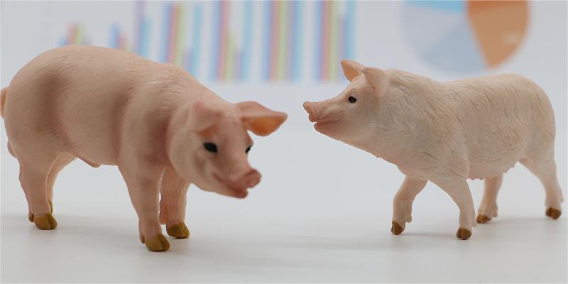 二季度猪价或有回落，走势或与2023年相近？