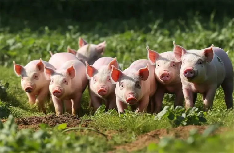 猪价拐点到了吗？一季度末全国生猪存栏大减5.2%，猪企打响成本战！