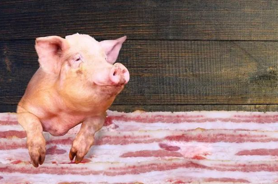 四周连涨，今年猪肉价格会一路上涨吗？
