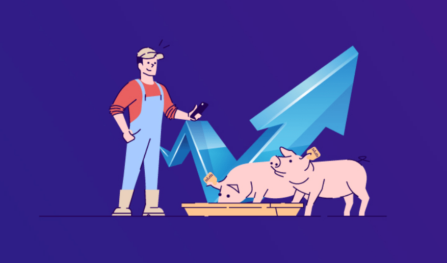 仔猪成交活跃带动生猪饲料销量回暖，下半年猪价上涨动力增强？