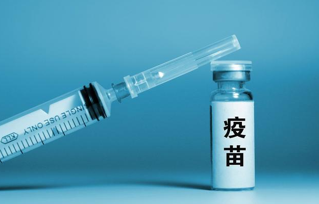注射大量猪瘟疫苗可以治疗非典型猪瘟吗？能“药到病除吗”？