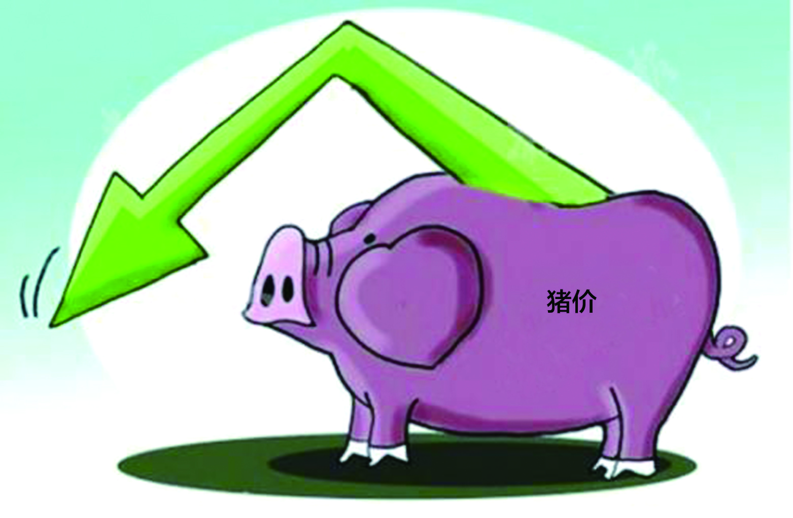 国家统计局：生猪价格为14.9元/千克，较4月中旬下降1.3%