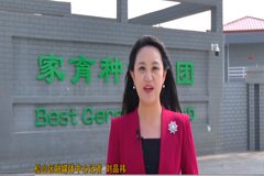 发展一个产业、带动一方经济！家育种业：用“芯” 改变 “新”潮涌动
