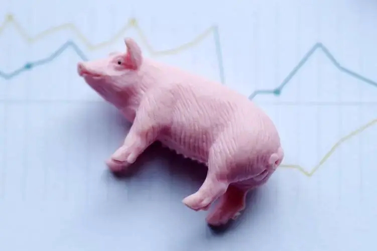 淡季不淡！2024年猪价预计将在结构调整和去产能中走出低谷？
