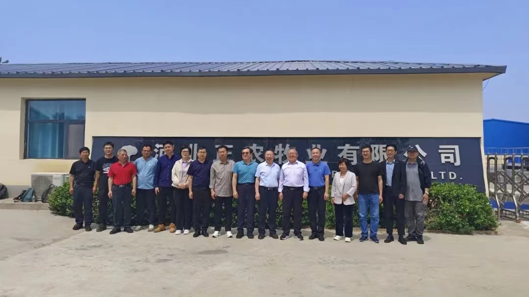 河北省现代农业产业技术体系生猪创新团队深入一线开展技术指导，共促深县猪产业高质量发展