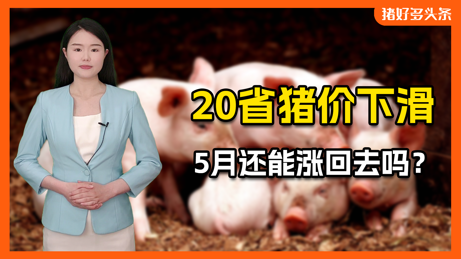 全国近20省猪价下滑！但二次育肥火热，将带动猪价再次冲高？