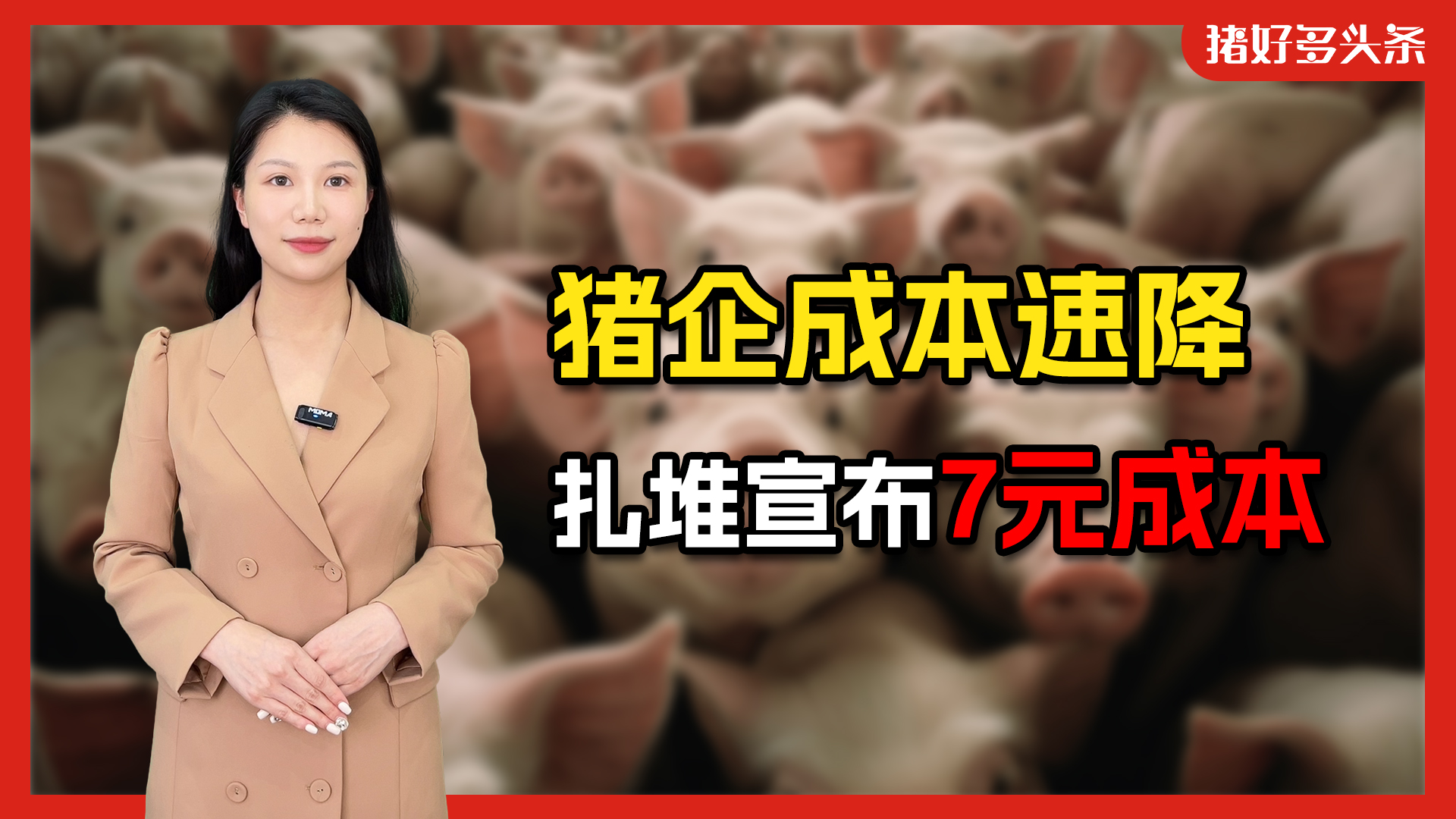 猪企最新成本公布！从18元/公斤降到14元/公斤，PPT养猪成现实？