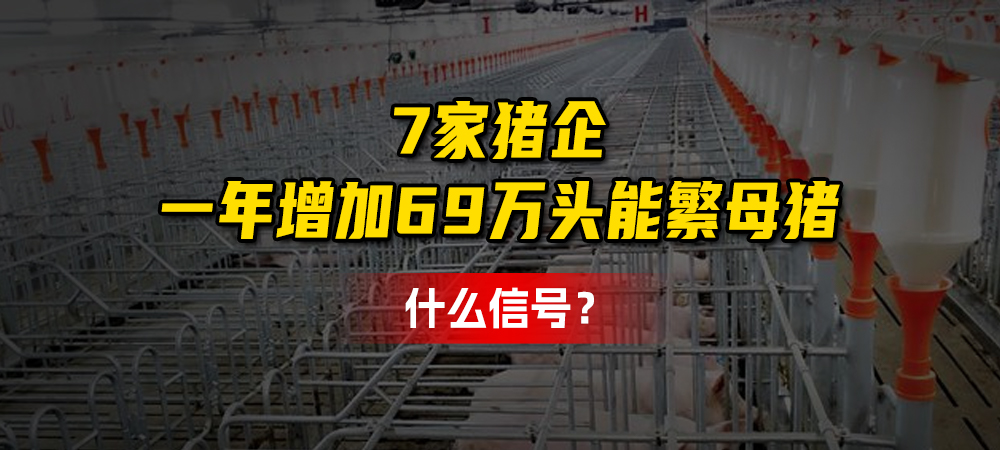 7家猪企一年增加69万头能繁母猪！什么信号？