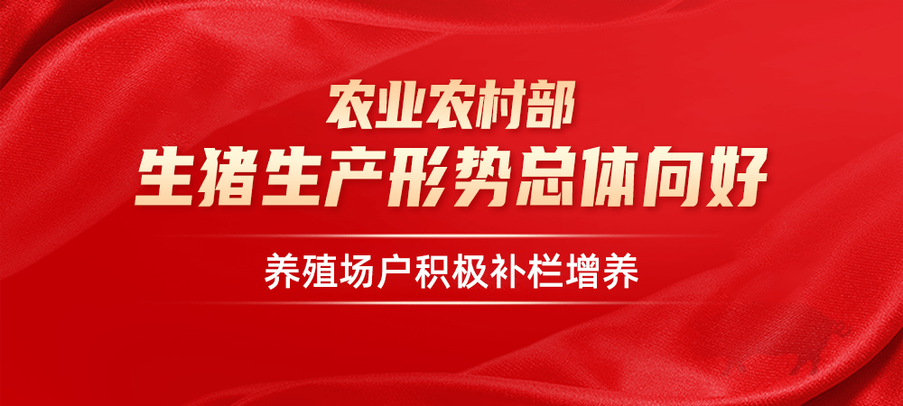 农业农村部：生猪生产形势总体向好，养殖场户积极补栏增养